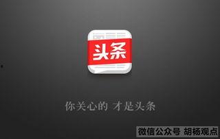 今日头条领域选哪个好呢,揭秘哪个领域最具潜力