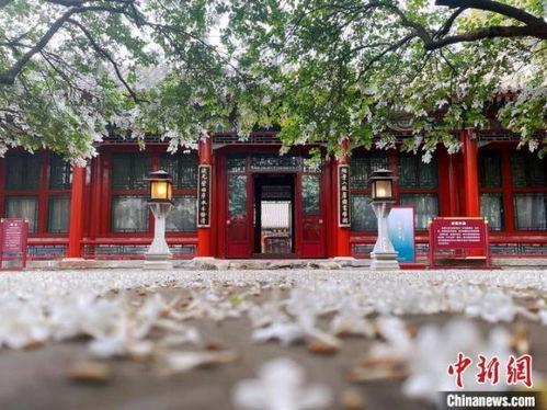 游朱衣公园的网红路,游朱衣公园的时尚足迹