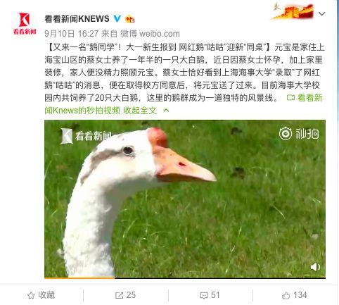 网红大白鹅抱枕怎么洗,轻松恢复绒毛柔软