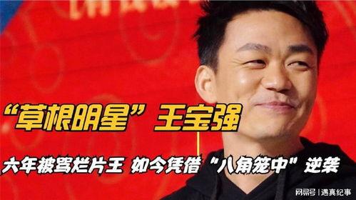 草根明星的意思,从平凡走向舞台的璀璨传奇