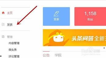头条创作者在哪发布视频,揭秘视频发布平台的选择与技巧