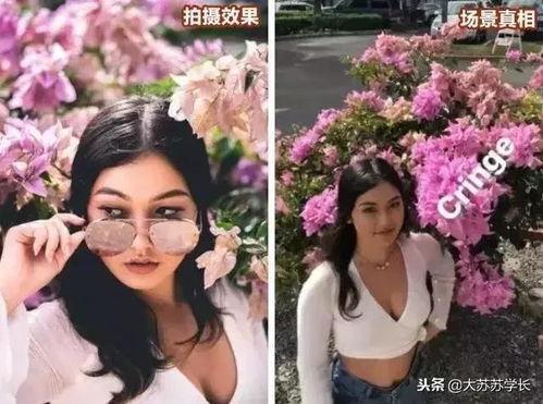 网红图片怎么拍照