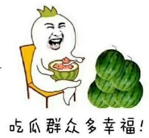吃瓜娱乐而已